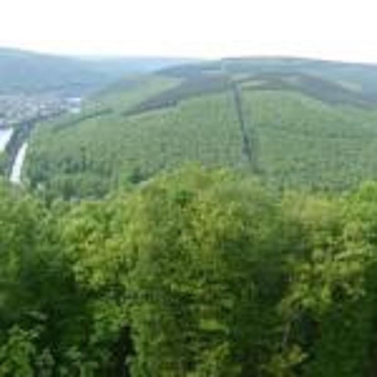 Gite Du Coucou Hargnies Dış mekan fotoğraf